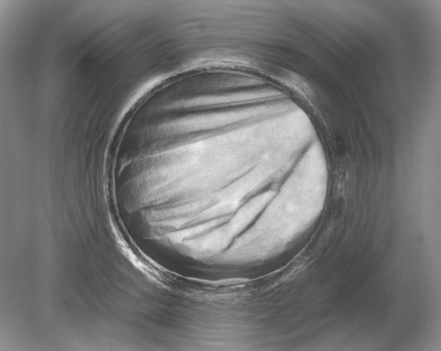 X0000078881038200612111734