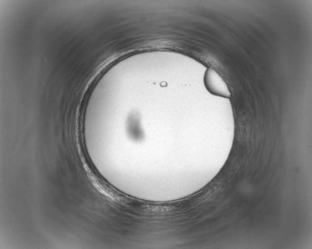 X0000078881039200612111734