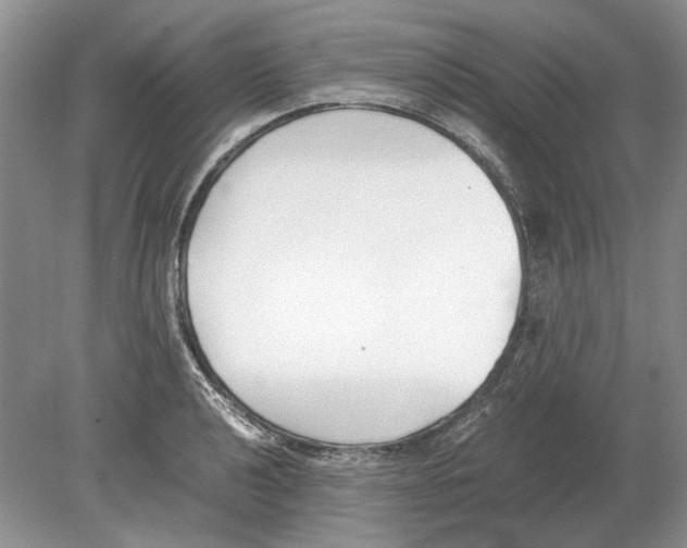 X0000078881040200612111734