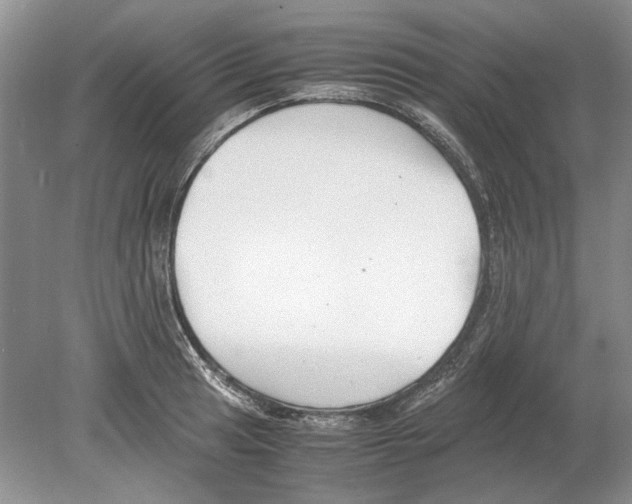 X0000078881041200612111734