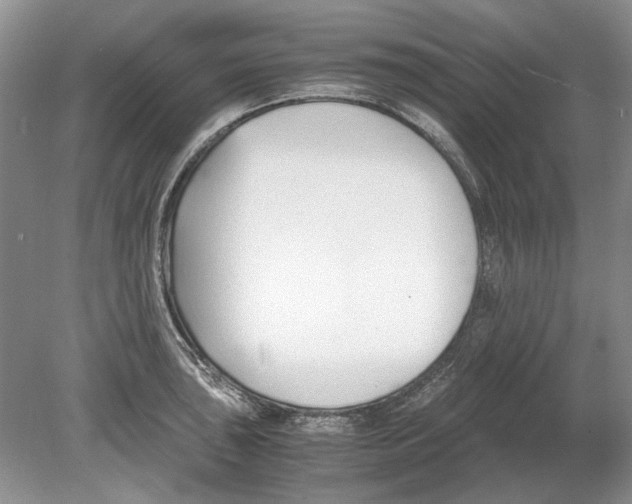 X0000078881043200612111734