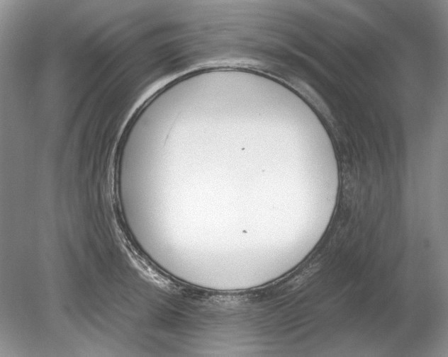 X0000078881044200612111734