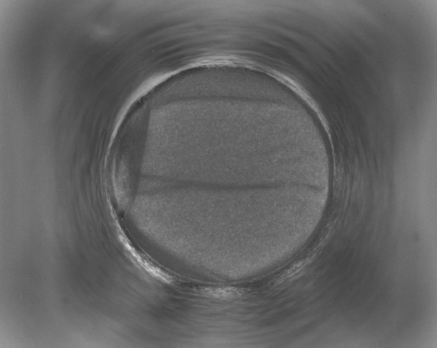 X0000078881045200612111734