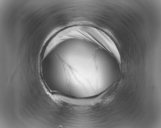 X0000078881046200612111734