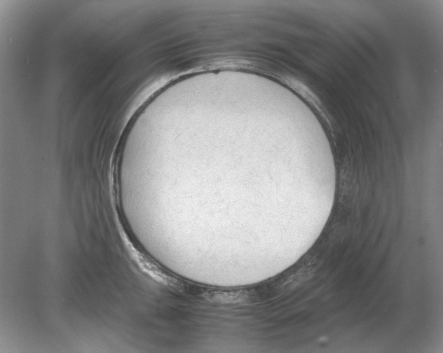 X0000078881047200612111734