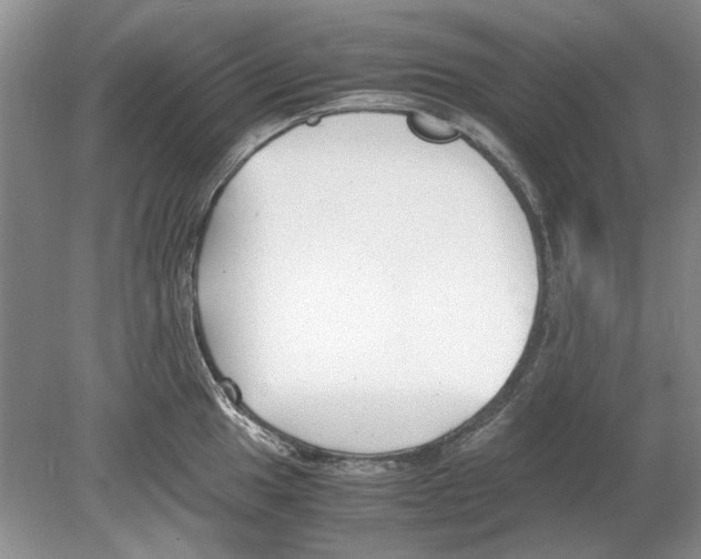 X0000078881049200612111734