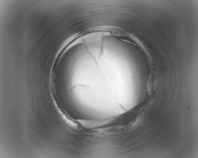 X0000078881050200612111734