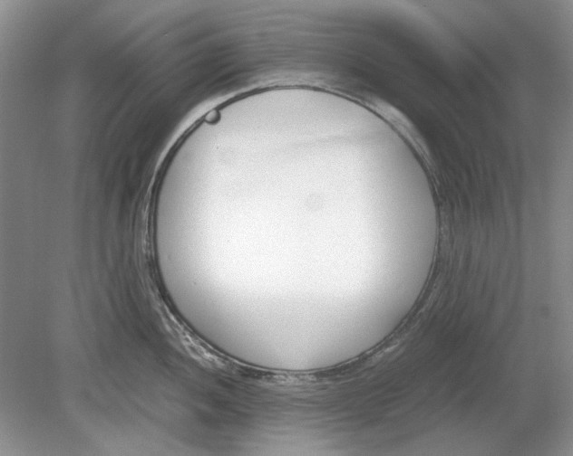 X0000078881052200612111734