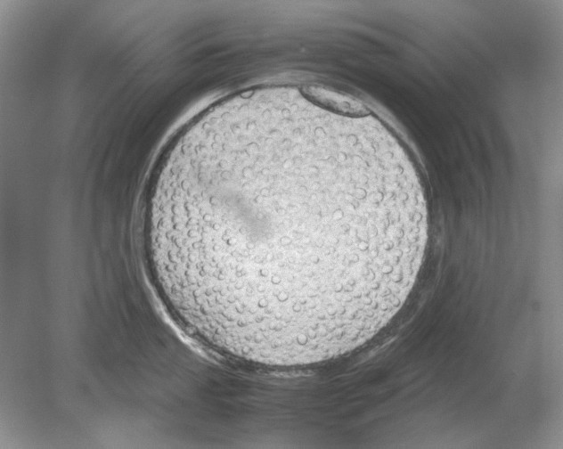 X0000078881053200612111734