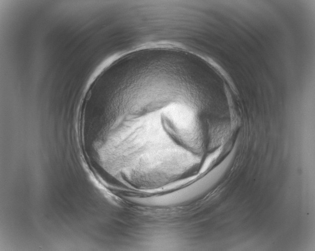 X0000078881054200612111734