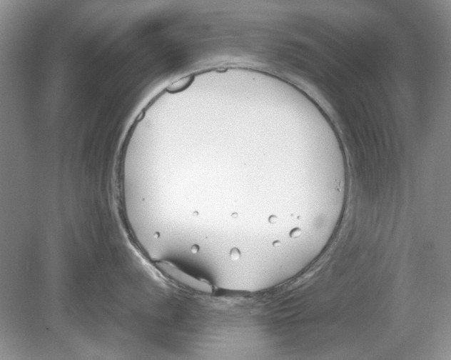 X0000078881056200612111734