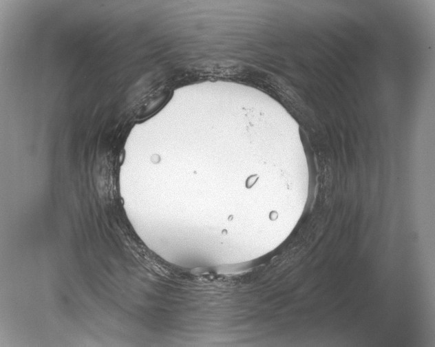 X0000078881058200612111734