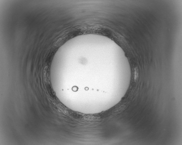 X0000078881059200612111734