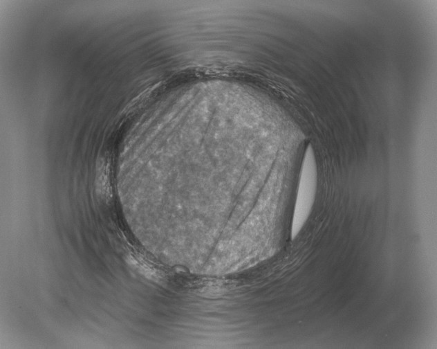 X0000078881060200612111733