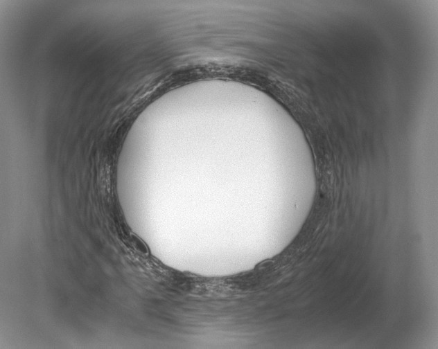 X0000078881061200612111733