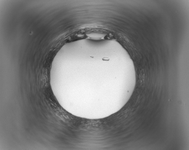 X0000078881062200612111733