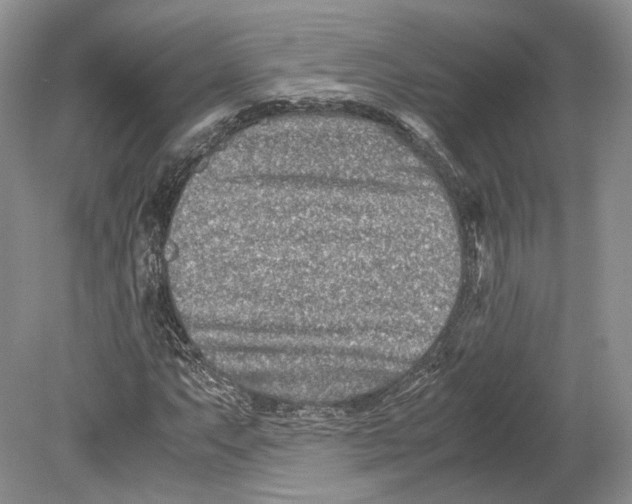 X0000078881063200612111733