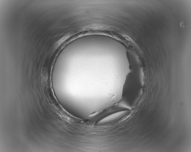 X0000078881065200612111733