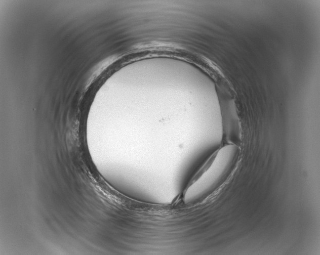 X0000078881066200612111733