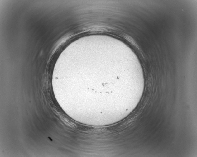 X0000078881067200612111733