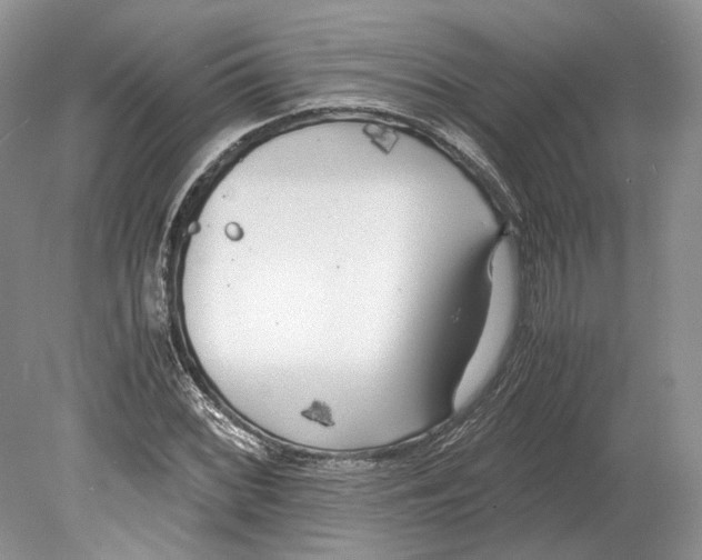 X0000078881068200612111733