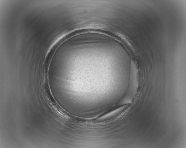 X0000078881069200612111733