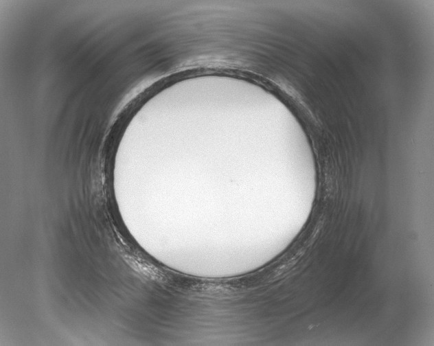 X0000078881070200612111733