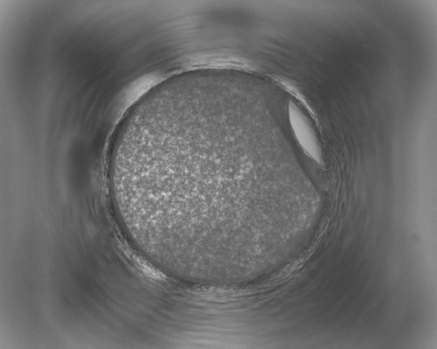 X0000078881071200612111733