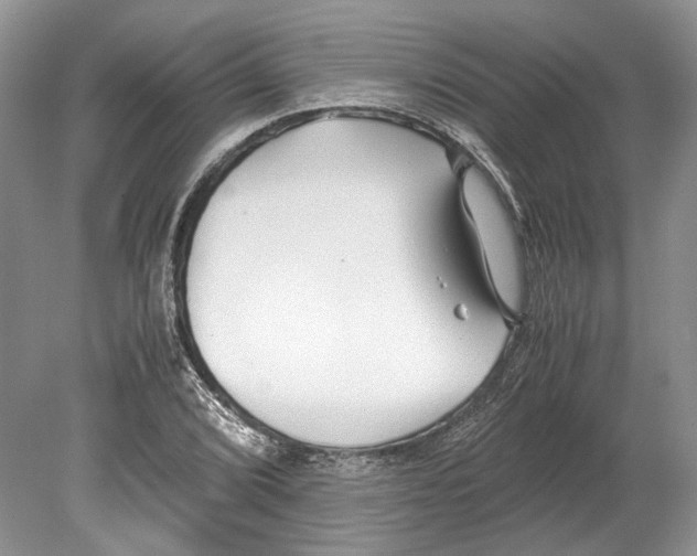 X0000078881072200612111733