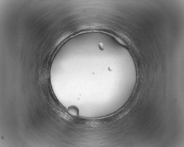 X0000078881073200612111733