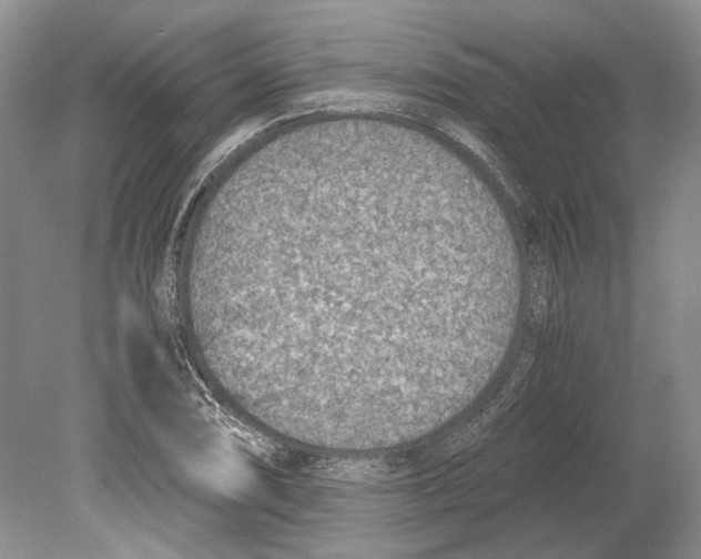 X0000078881074200612111733