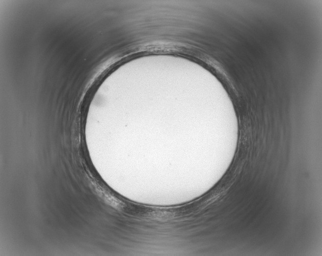 X0000078881075200612111733