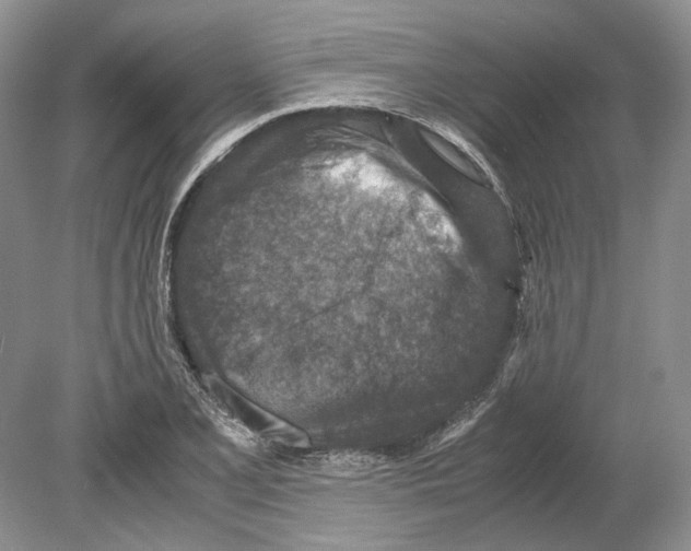 X0000078881077200612111733