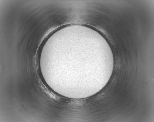 X0000078881078200612111733