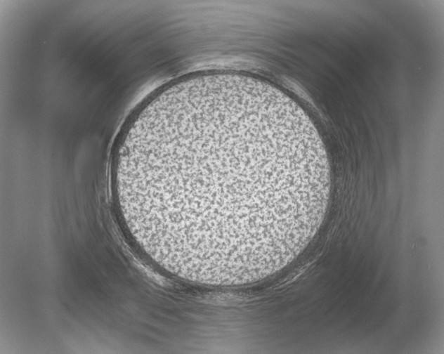 X0000078881079200612111733