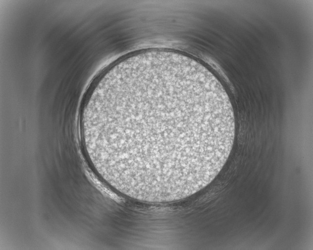 X0000078881080200612111733