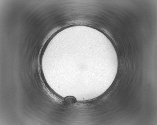 X0000078881082200612111733