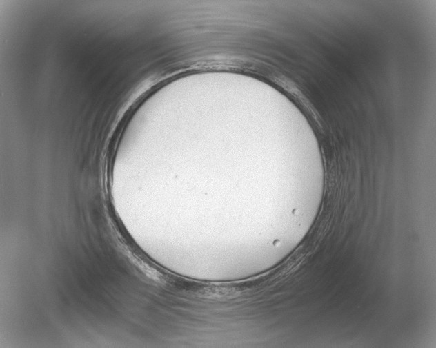 X0000078881083200612111733