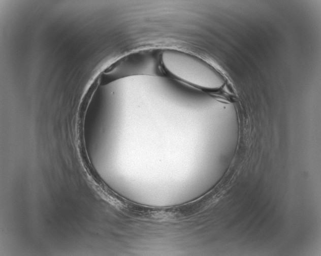 X0000078881085200612111733