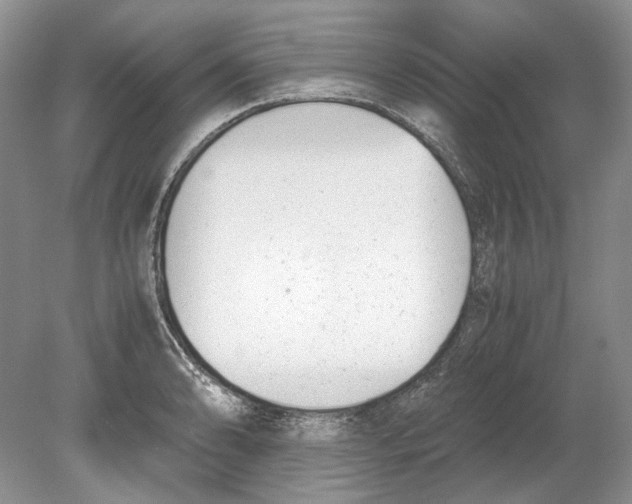 X0000078881086200612111733