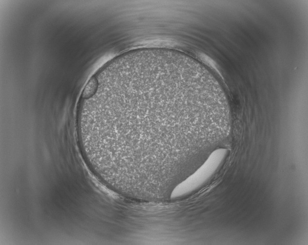 X0000078881087200612111733