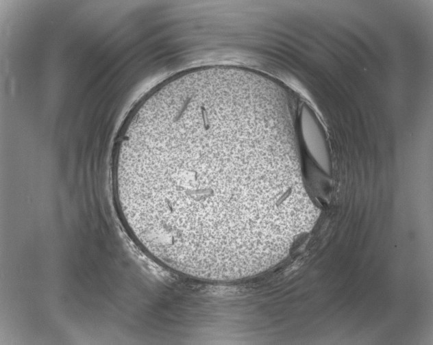 X0000078881088200612111733