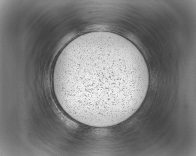 X0000078881090200612111733