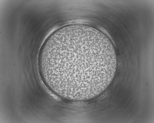 X0000078881091200612111733