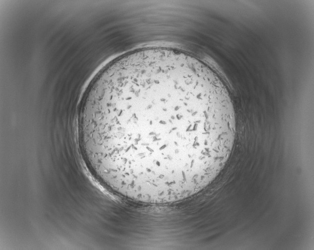 X0000078881092200612111733