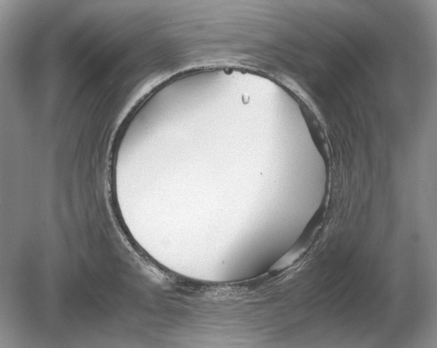 X0000078881093200612111733