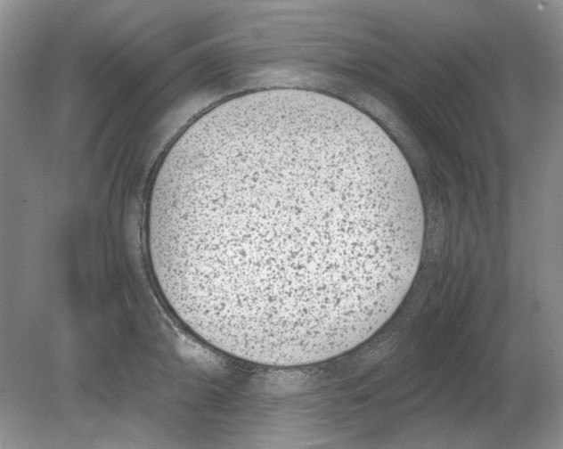 X0000078881094200612111733