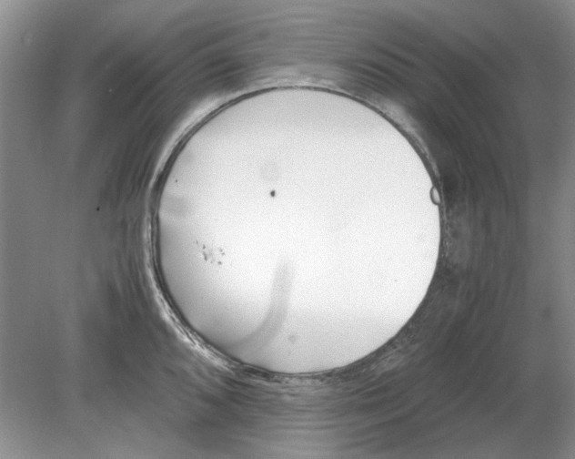 X0000078881096200612111733