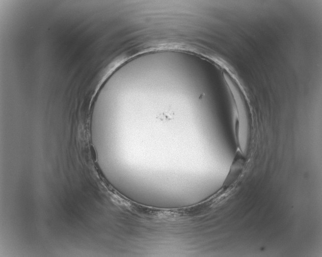 X0000078881097200612111733