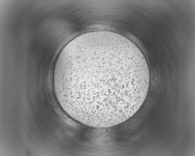 X0000078881098200612111733